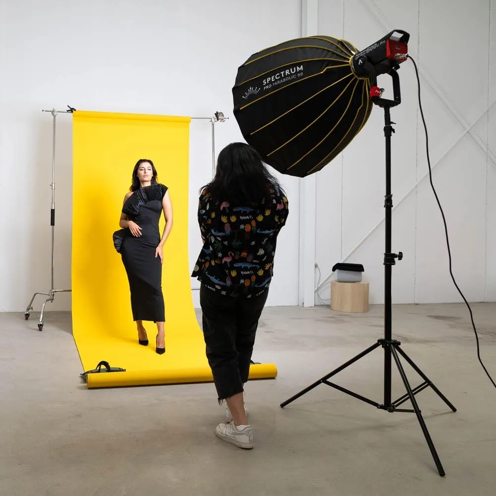 Aputure Light Storm LS600D Pro CRI 96  LED Video Studio Light (V-Mount)