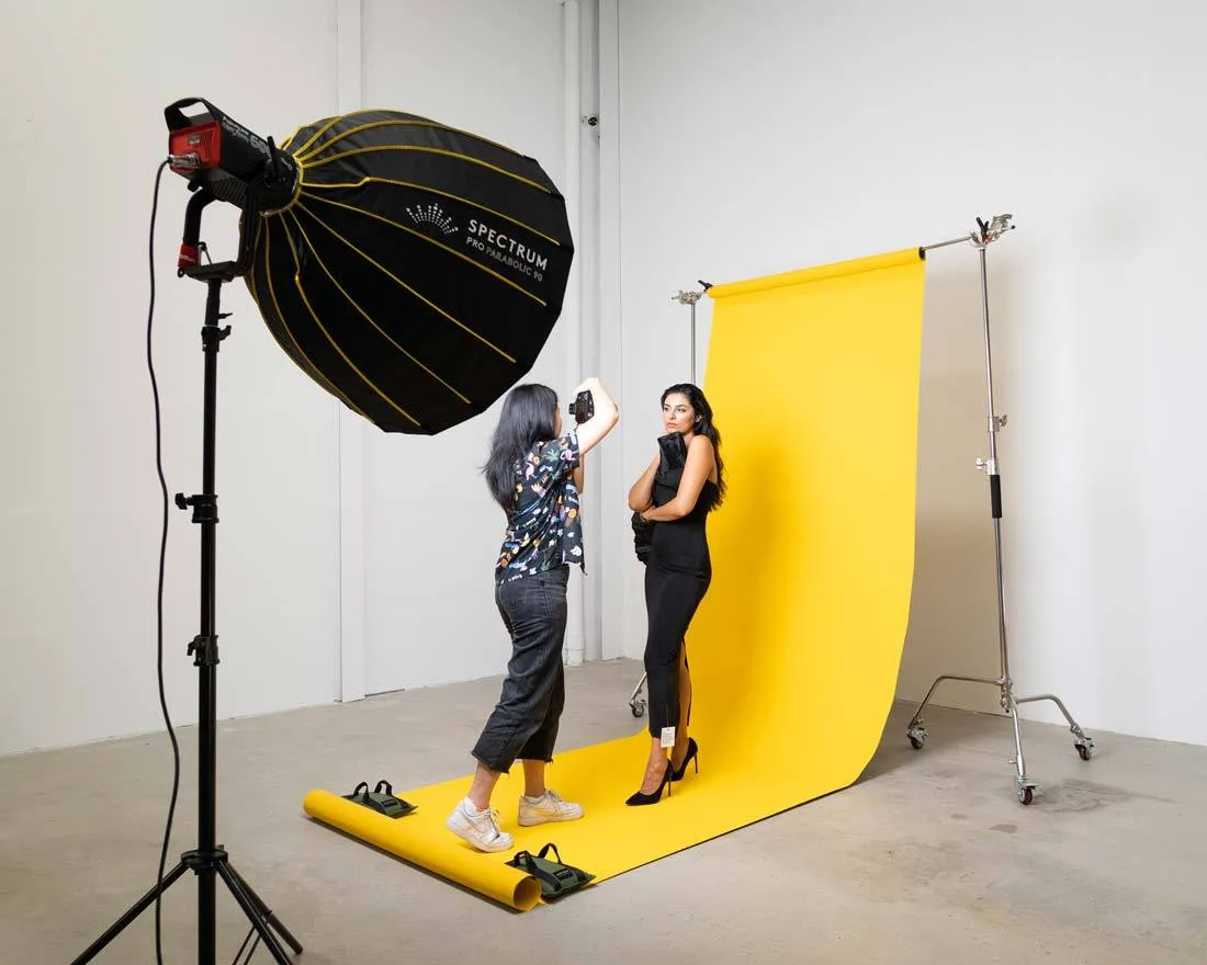 Aputure Light Storm LS600D Pro CRI 96  LED Video Studio Light (V-Mount)