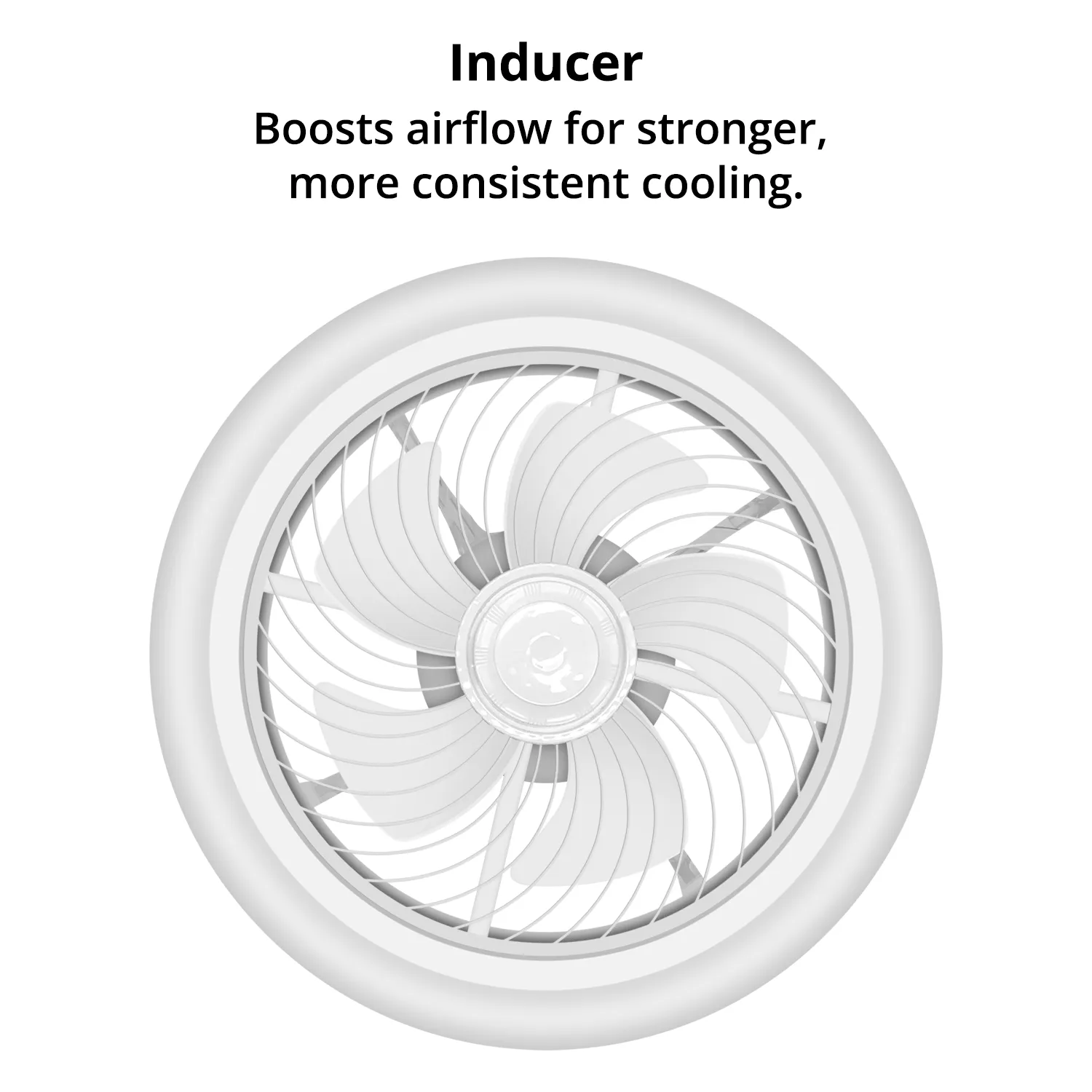 Ceiling Fan (Ø13")