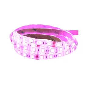 Electralite 60W LED Strip Light - Waterproof (IP65) - 5m - RGB