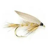Flies