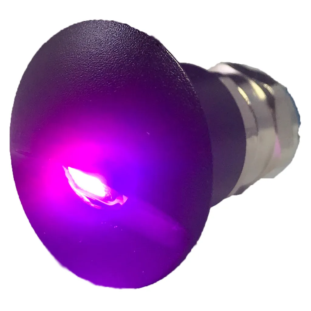 Flush Mounted LED Step Light - Black Housing