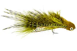 Galloup's Silk Kitty