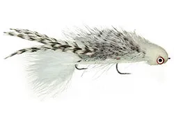 Galloup's Silk Kitty