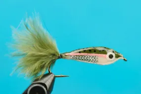 Janssen's Minnow--Rainbow Trout