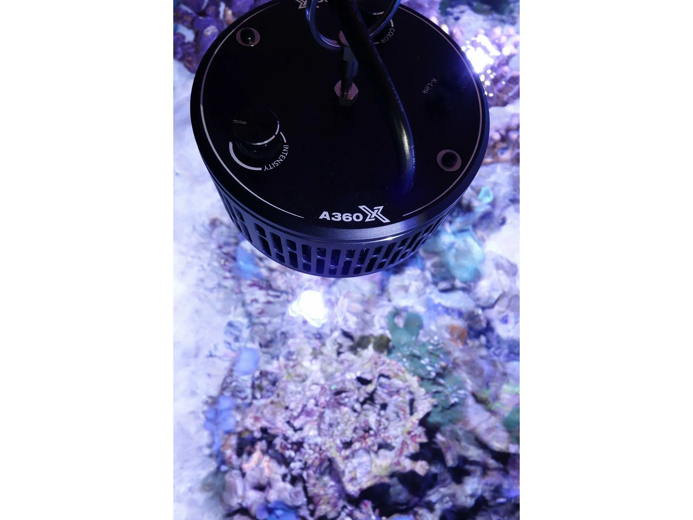 LED A360X Tuna Blue