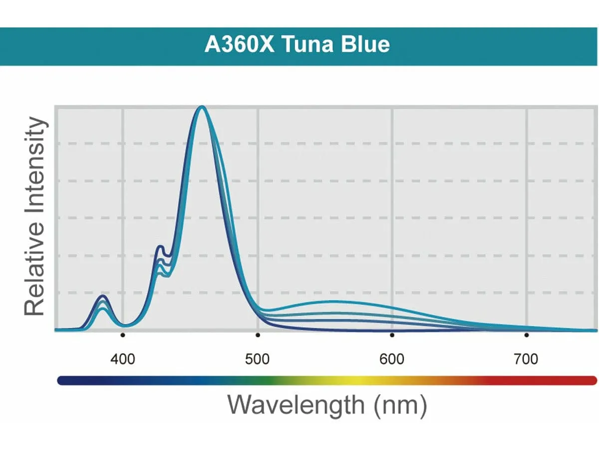 LED A360X Tuna Blue