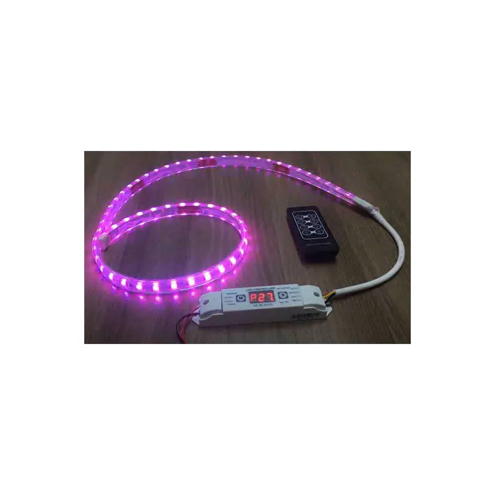 LED Addressable Pixel Tape Light Controller with Remote