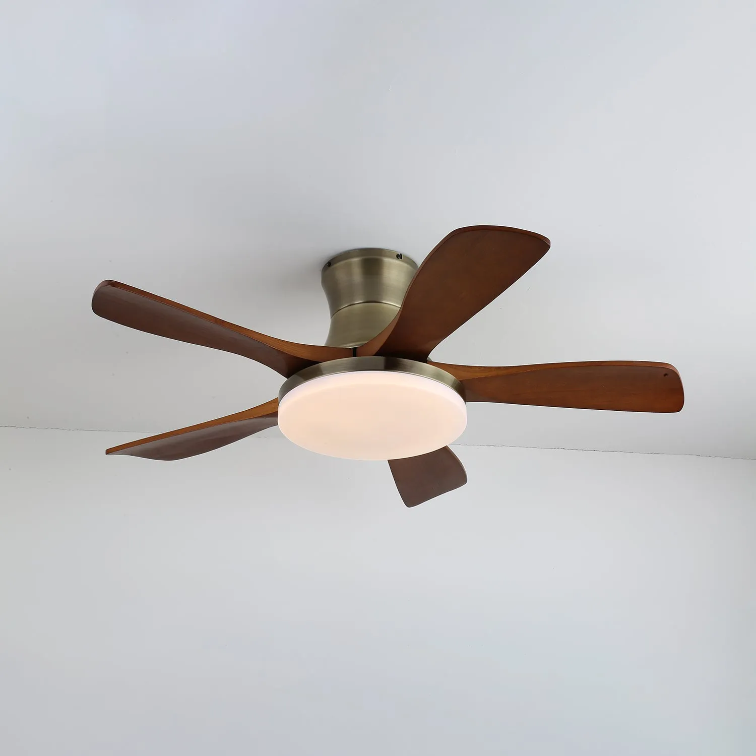 Liam Ceiling Fan Light