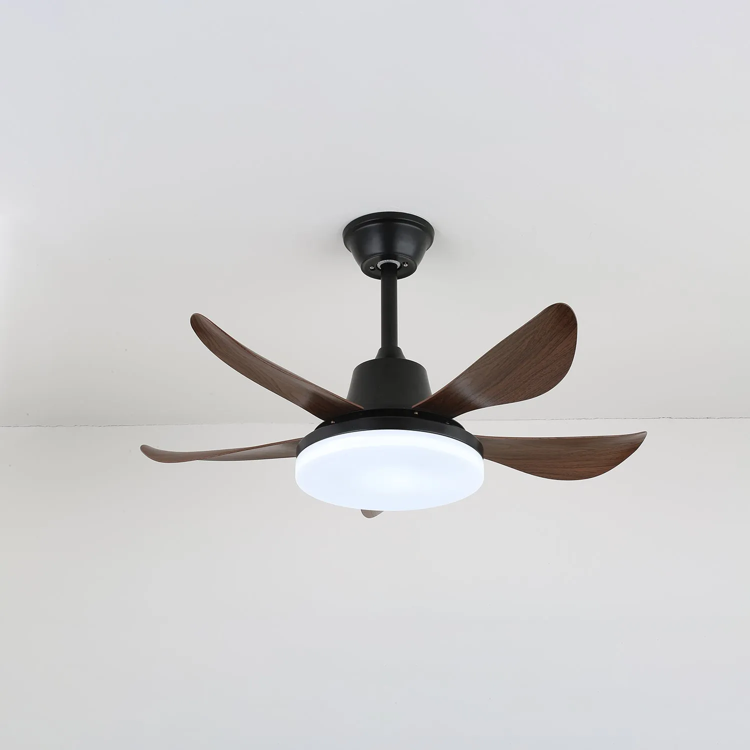 Lucas Ceiling Fan Light