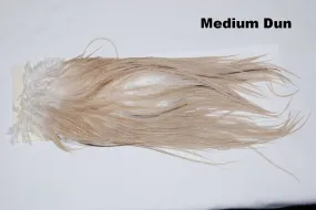 Metz Saddle Grade 1