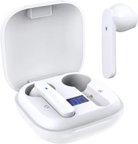 Miracase Wireless Earbuds Bluetooth 5.0 Headphones with USB-C Charging Case