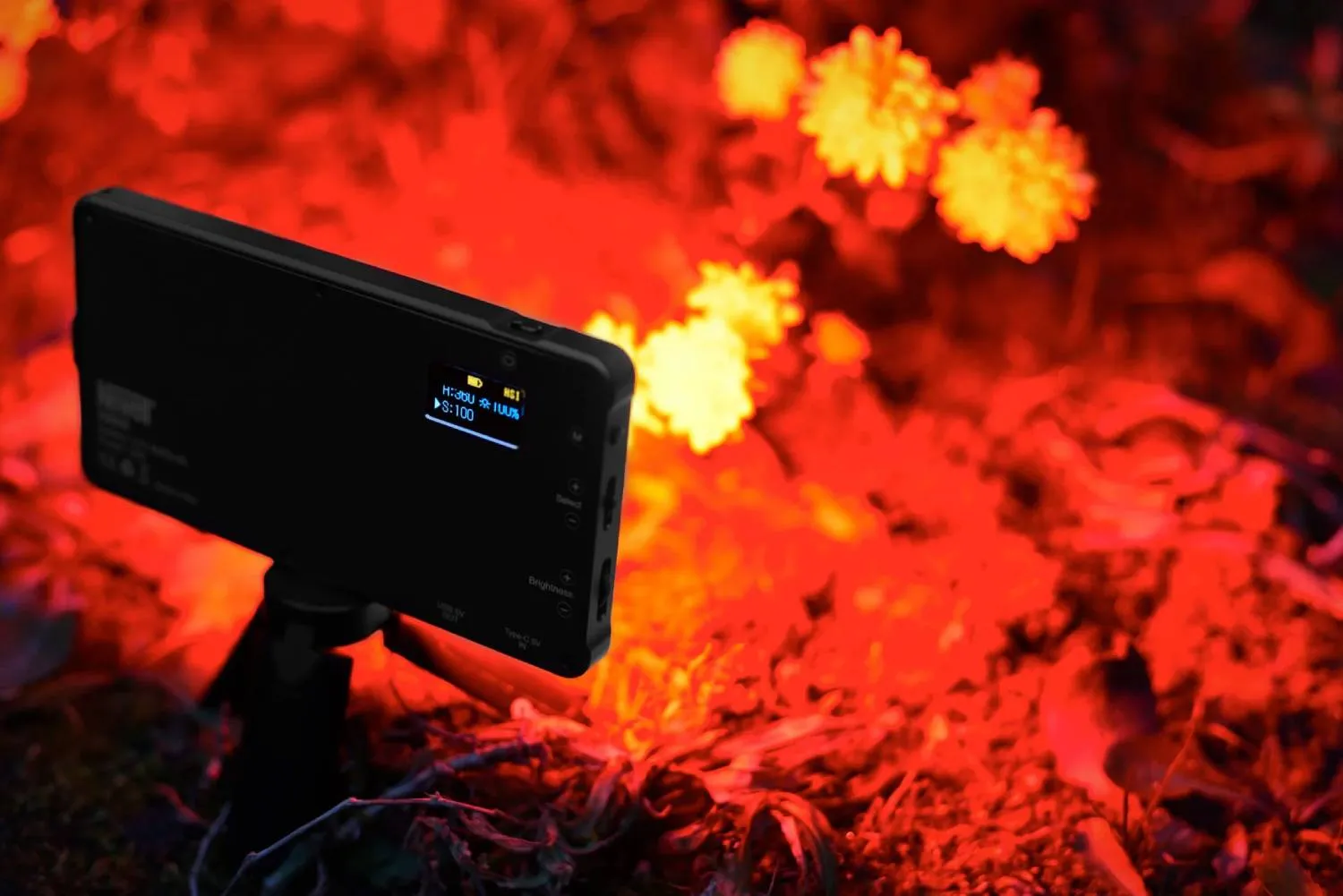 Newell RGB-W Rangha LED Light