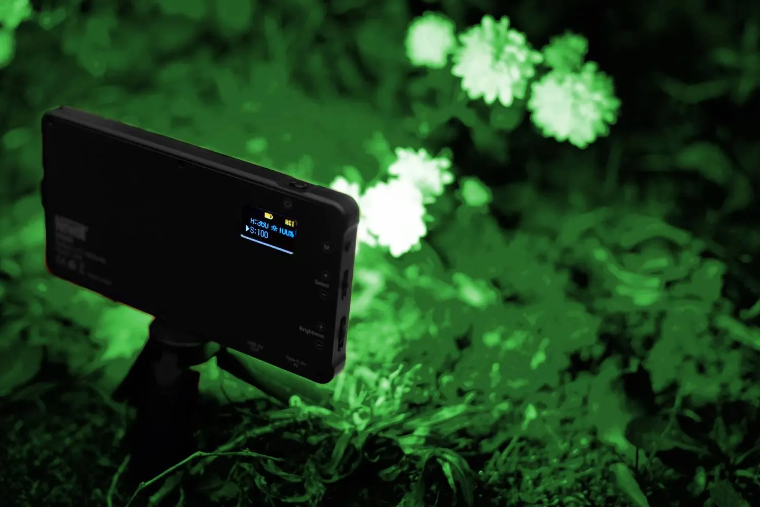 Newell RGB-W Rangha LED Light