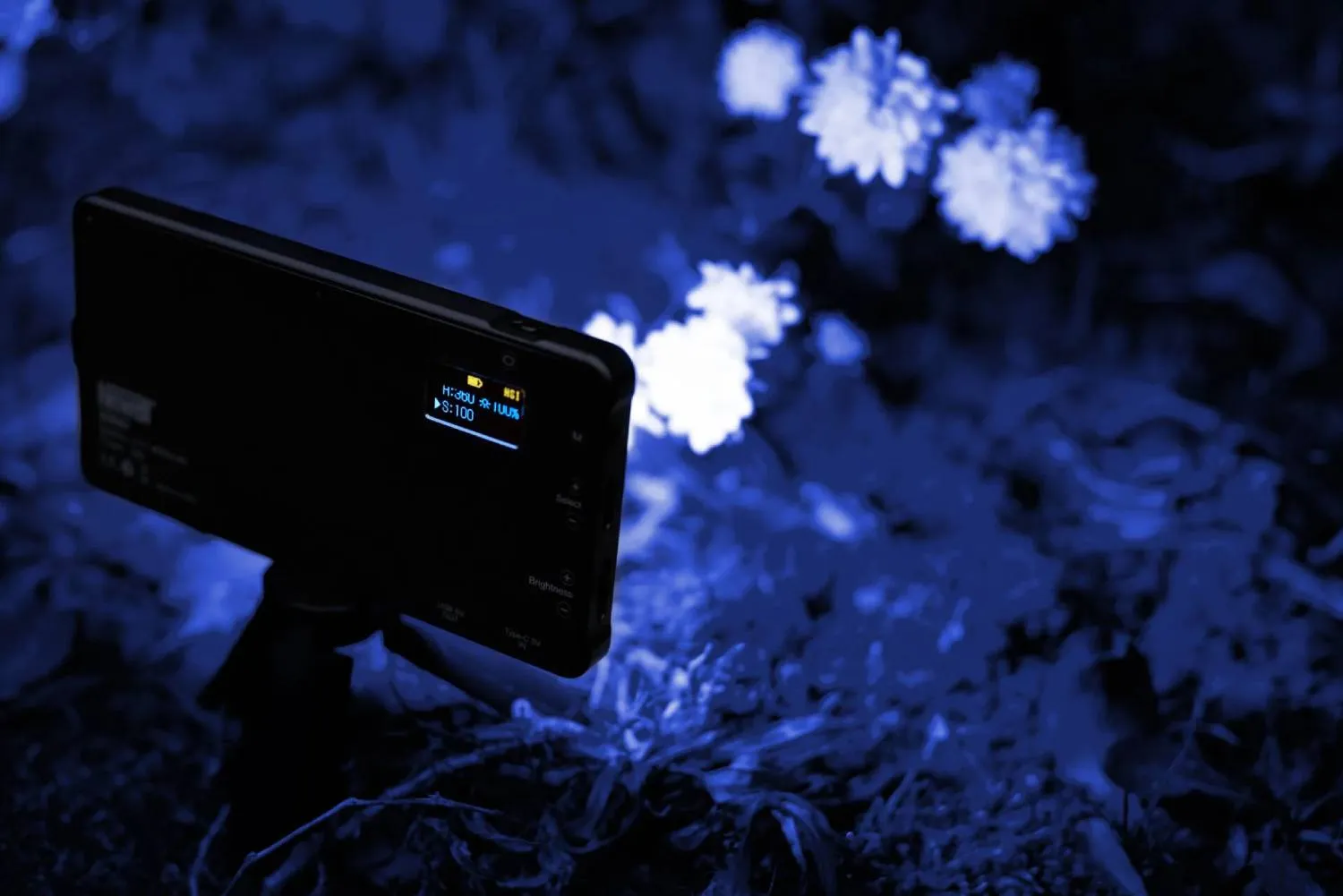 Newell RGB-W Rangha LED Light