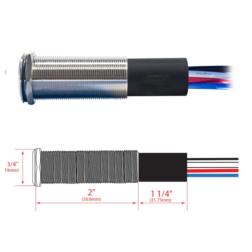 REVERT Harsh Environment | Dual Output | 3 Color | Push Button Marine Switch | 19MM | Stainless Steel