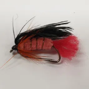 Scotch Poacher