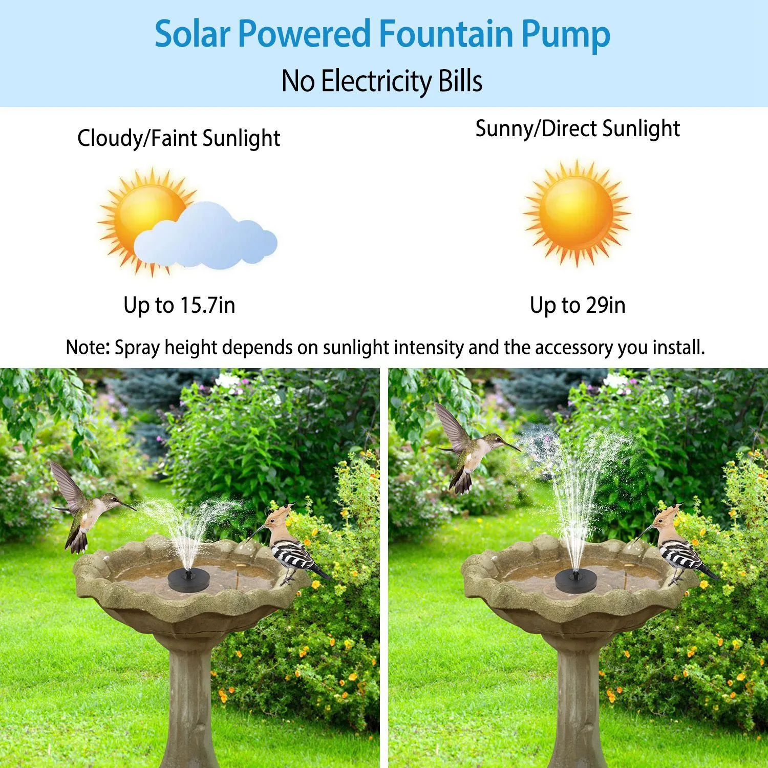 Solar Powered Fountain Pump with LED Lights