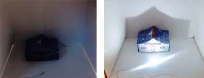 Super Bright Solid Mega LEDs