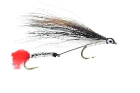 Tandem Black Nose Dace