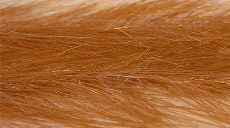 Translucy Fiber Brush Combo Pack